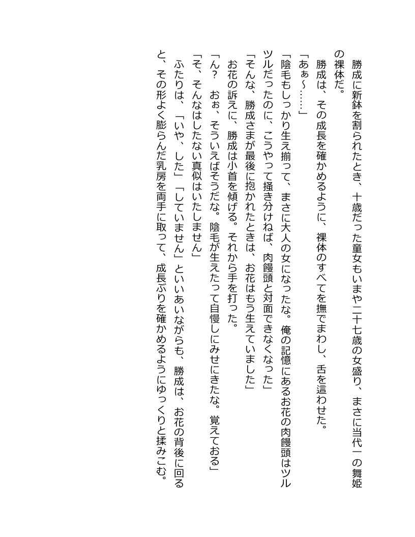 戦国艶武伝 第4巻～奔流の抄～ 戦国艶武伝シリーズ (二次元ドリーム文庫)_25.jpg